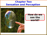Chapter 2-Sensation and perception-2.pptx